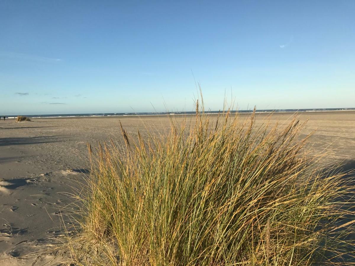 Strandlogement Om De Noord スヒールモニコーフ エクステリア 写真
